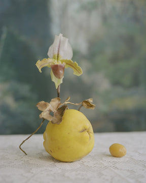 Archive Sale – yuhan wang